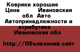 Коврики хорошие !!  › Цена ­ 500 - Ивановская обл. Авто » Автопринадлежности и атрибутика   . Ивановская обл.